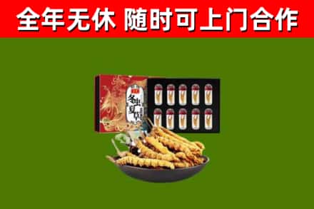 武平回收冬虫夏草价格