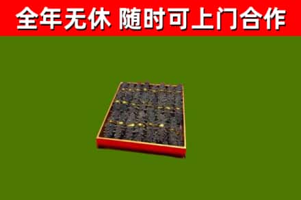 武平烟酒回收海参.jpg